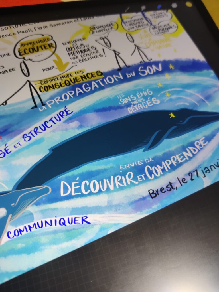 Le chant perdu des baleines