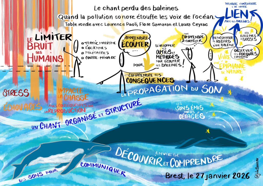 Le chant perdu des baleines